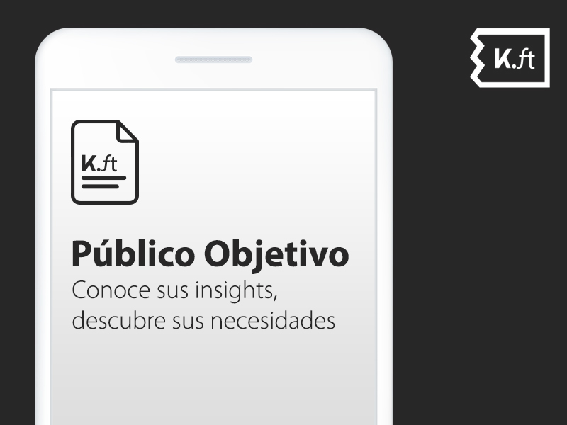 brief publico objetivo